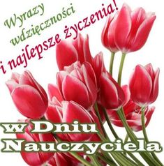 Bukiet czerwonych tulipanów z życzeniami na dzień nauczyciela